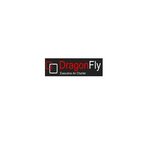 Dragonfly Executive Air Charter - BARRY, Cardiff, United Kingdom