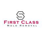First Class Mold Removal Palmdale - Palmdale, CA, USA