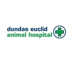 Dundas Euclid Animal Hospital - Toront, ON, Canada