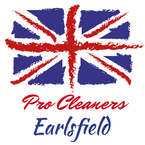 Pro Cleaners Earlsfield