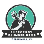 123Emergency Plumber Pros - Odessa, FL, USA