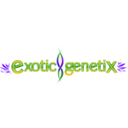 exoticgenetix - Spanaway, WA, USA