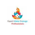 Expert Water Damage Professionals - Rochester, MN, USA