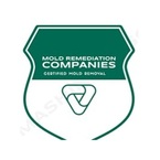Fishers Mold Remediation Pros - Fishers, IN, USA