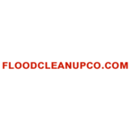 Flood Cleanup NYC - New  York, NY, USA