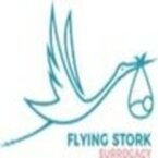 Flying Stork Surrogacy - Corona, CA, USA