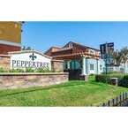 Peppertree Apartments - San Jose, CA, USA