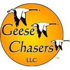 Geese Chasers - Mt Laurel Township, NJ, USA
