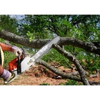 George\'s Tree Services - Clarksville, TN, USA