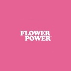 FlowerPower Boric Acid Vaginal Suppositories - Minneapolis, MN, USA