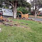 GG Stump Busters - Mornington Peninsula, VIC, Australia