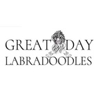 Great Day Labradoodles - Salem, OR, USA