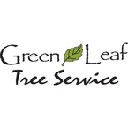 Green Leaf Tree Service - Lafayette, LA, USA