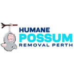 Humane Possum Removal Perth - Perth, WA, Australia