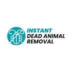 Instant Dead Animal Removal - Melbourne, VIC, Australia
