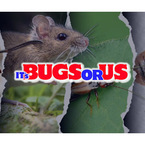 It\'s Bugs Or Us Pest Control - Tyler - Tyler, TX, USA