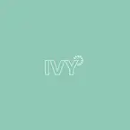 Ivy Cleans Minneapolis - Minneapolis, MN, USA