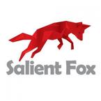 Salient Fox - Chicago, IL, USA