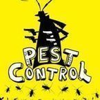 Pest Control Bromley