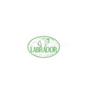 Kennel Labrador - Retriever \" Labrafamily \" - QC, QC, Canada