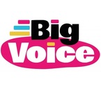 Big Voice Ltd - Milton Keynes, Buckinghamshire, United Kingdom