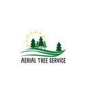 Aerial Tree Service - Lansing, MI, USA