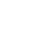 Liquidator Auto Sales - Houston, TX, USA