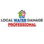 Local Water Damage Professional - Winona, MN, USA