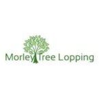 Morley Tree Lopping - Morley, ACT, Australia