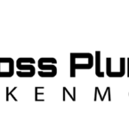 Boss Plumbers Kenmore - Kenmore, WA, USA