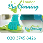 London Pro Cleaning Logo