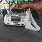 wedding limo services sydney