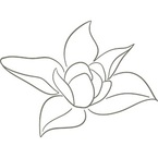 The Magnolia KC Group - Leawood, KS, USA