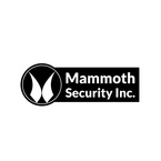 Mammoth Security Inc. Norwalk - Norwalk, CT, USA