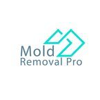 Mold Removal Pro - Porter Ranch, CA, USA