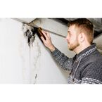 Frampton Place Mold Removal Experts - Brentwood, TN, USA