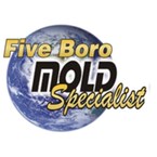Five Boro Mold Specialist - Brooklyn, NY, USA
