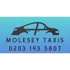 Molesey Taxis - West Molesey, Surrey, United Kingdom