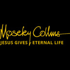 Moseley Collins Law - Portland, OR, USA