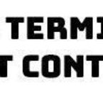 Mr Termite Pest Control - Brisbane, QLD, Australia