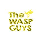 Wasp Nest Removal In Surrey - THE WASP GUYS - Guildford, Surrey, United Kingdom