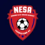 Niagara Elite Soccer Academy - Youngstown, NY, USA