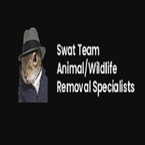 SWAT TEAM Animal Pest Control - North Arlington, NJ, USA