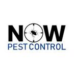 Now Pest Control - Leichhardt, NSW, Australia