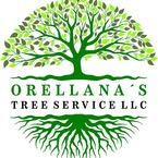Orellana Tree Service - Joppatowne, MD, USA