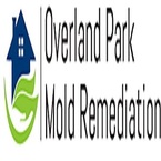 Overland Park Mold Remediation - Overland Park, KS, USA