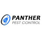 Panther Spider Control Brisbane - Brisbane, QLD, Australia