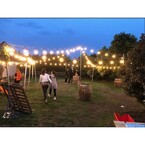 Absolute Party Hire - Papamoa, Bay of Plenty, New Zealand