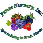 Pense Berry Farm - Mountainburg, AR, USA