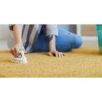 Carpet Cleaning Hope Island - Abbotsford, AB, Canada